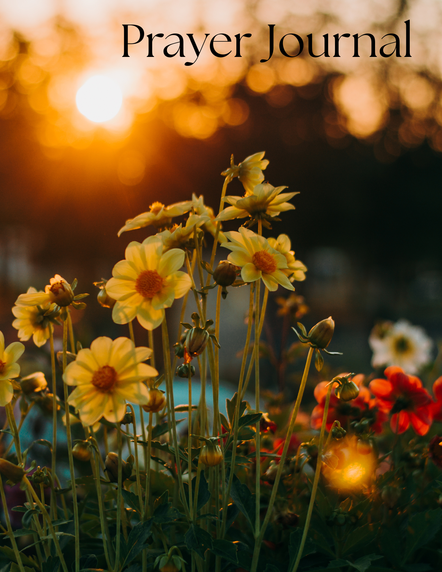 Prayer Journal