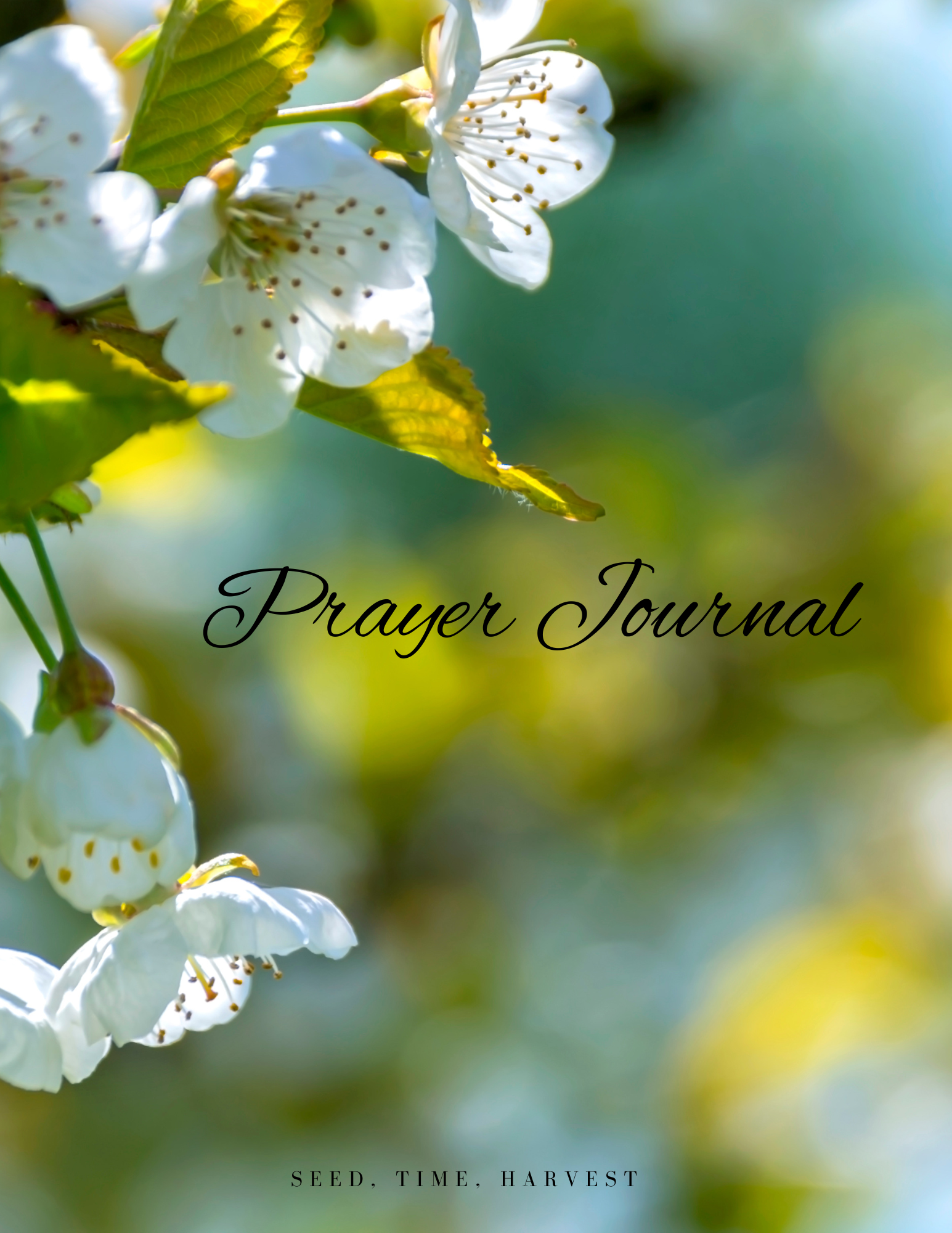 Seed, Time , Harvest